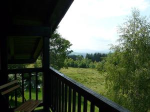 a view from the porch of a cabin at Ferienwohnung für 2 Personen ca 40 qm in Neureichenau, Bayern Bayerischer Wald in Neureichenau