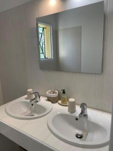 a bathroom counter with two sinks and a mirror at Les marguerites in Vers Pont du Gard