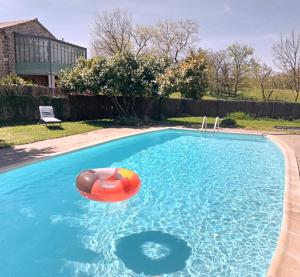 a swimming pool with a toy in the water at L'Atelier de Pierre Gîte Atypique in Saint-Cyr