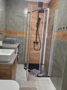 ein Bad mit einer Dusche und einem Waschbecken in der Unterkunft Apartament K&H W Centrum in Tarnów
