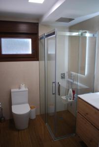 a bathroom with a toilet and a glass shower at Casa los Canarios in Irijoa