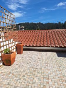 a tile roof with two potted plants on a patio at Porta 28 in Penacova
