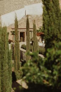 Ein Haus mit einem Haufen Bäume davor in der Unterkunft Ecohotel El Agua in Arico el Nuevo