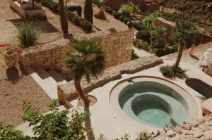 a small pool in a garden with palm trees at Ecohotel El Agua in Arico el Nuevo