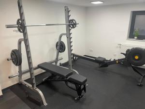 a room with a gym with two tread machines at Im Tal 2 Apartment WH2 OG in Bergheim