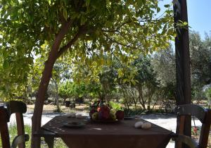 a plate of fruit on a table under a tree at Anemos - Holiday Beach Houses in Keratokampos