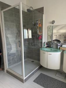 a bathroom with a shower and a sink at Villa de charme, piscine privée et pool-house in Domarin