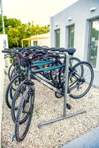 een rij fietsen geparkeerd naast elkaar bij Kumquart estate- Bergamot in Aspiotádes
