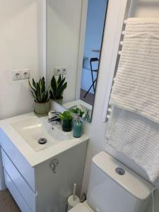 a bathroom with a sink and a toilet and a mirror at Casita privada in Alpedrete