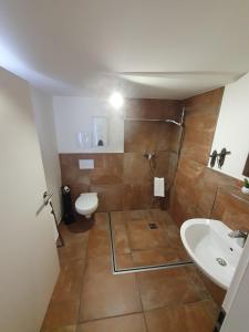 ein Bad mit einer Dusche, einem WC und einem Waschbecken in der Unterkunft Bodenseehotel Krone und Historisches Aparthotel Gästehaus des Hotel Krone in Bodman-Ludwigshafen