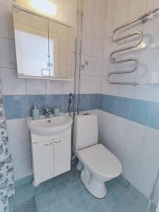 a bathroom with a toilet and a sink at Möysä beach apartment in Lahti +16 photos