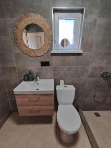 La salle de bains est pourvue de toilettes, d'un lavabo et d'un miroir. dans l'établissement Modern family house by the lake in Zarasai, à Štadviliai