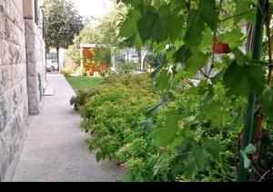 Vonkajšia záhrada v ubytovaní Apartment Lina Deluxe