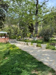 un camino en un parque con árboles y plantas en Sam's apartment en Berat