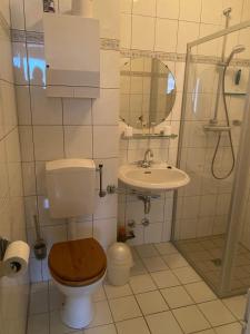 a bathroom with a toilet and a sink and a mirror at Texel-De Koog 116 in De Koog +7 photos
