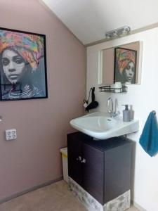 La salle de bains est pourvue d'un lavabo et d'un miroir. dans l'établissement La Colmena Bed & Breakfast, à Nimègue