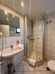 Hotel Tennenloher Hof في إيرلنجين: حمام مع دش ومغسلة