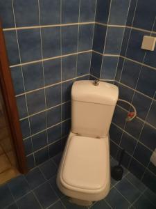 a white toilet in a blue tiled bathroom at Villa next to the beach in Vourvourou