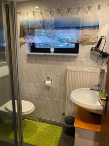 a bathroom with a sink and a toilet and a window at Rügen - Promoisel - Auszeit am Kreidesee in Sagard +18 photos