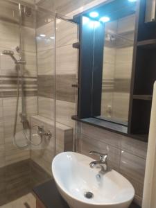 uma casa de banho com um lavatório e uma cabina de duche em vidro. em Hetedik Apartman em Pécs