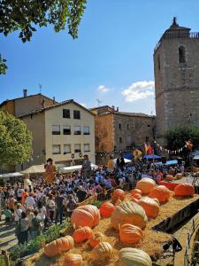 a large crowd of people watching a display of pumpkins at Allotjament turístic Cal Minguell in Sant Llorenc de Morunys