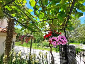 a fence with flowers hanging from a tree at Ferienwohnung für 6 Personen ca 90 qm in Mrgani, Istrien Istrische Riviera in Mrgani