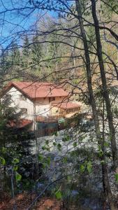 een gebouw met een rood dak in een bos bij Izvorul Maleii in Petrila
