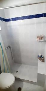 een badkamer met een wit toilet en blauwe en witte tegels bij Nefeli Apartments in Kefalos