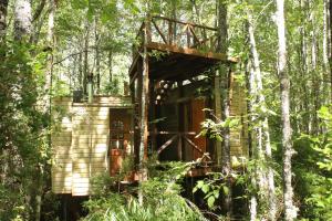 mały domek w lesie z drzewami w obiekcie Casita Arbol w mieście Puerto Fuy +12 zdjęć