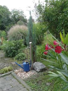 een tuin met een waterbak en bloemen en planten bij Ferienhaus Keller in Lippertsreute