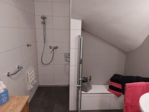 a bathroom with a shower with a glass door at Kuckucksnest - Ferienwohnung Welschneudorf in Welschneudorf