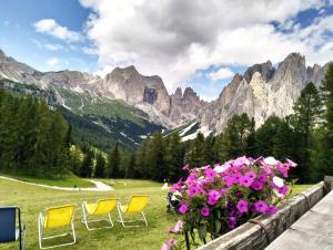 een groep stoelen in een veld met bergen bij Camera con bagno privato in Tesero