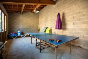 a ping pong table in a room next to a brick wall at Gite Le Courlis in Outines