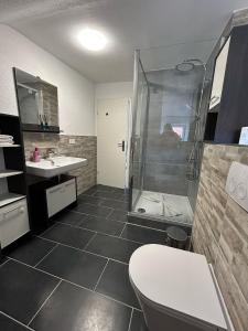 La salle de bains est pourvue d'une douche, de toilettes et d'un lavabo. dans l'établissement Wohnung mit Terrasse, à Herbolzheim