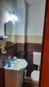 een badkamer met een witte wastafel en een toilet bij Izvorul Maleii in Petrila
