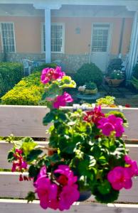 Demetra Apartment Sperlonga في سبرلونغا: مجموعة من الزهور الزهرية في الحديقة