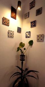 una planta en una habitación con fotos en la pared en DockApartment, en Vila Nova de Gaia