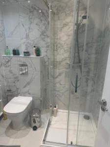 a bathroom with a shower and a toilet at Abbey Road Luxury Modern Flat w Historic Vibes in London