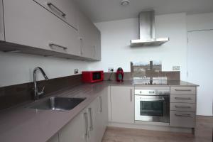 Cuina o zona de cuina de Brand-new contemporary flat in Bermondsey