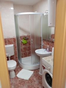 ein Bad mit einer Dusche, einem WC und einem Waschbecken in der Unterkunft Apartment Atina in Subotica