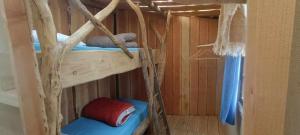 Poschodová posteľ alebo postele v izbe v ubytovaní Cabanes des Landes- cabane sur pilotis + 37 fotografií