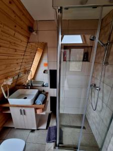 Bilik mandi di Cabana A-frame Dor de Hateg