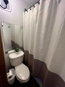 a bathroom with a toilet and a shower curtain at French Street Retreat Walk Everywhere in Breckenridge