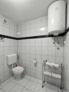 Baño blanco con aseo y tanque en Rafael Apartments, en Medulin