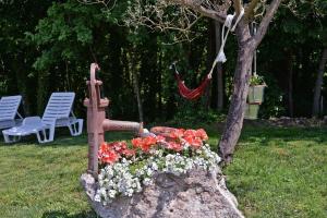 Zahrada ubytování Ferienwohnung für 8 Personen ca 120 qm in Modrusani, Istrien Binnenland von Istrien + 14 fotografií