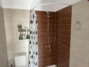 a bathroom with a shower and a toilet at Paradise of Meteora B in Kastraki