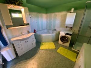 W łazience znajduje się umywalka i pralka. w obiekcie Apartmán Valtice w mieście Valtice