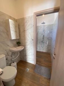 a bathroom with a shower and a toilet and a sink at Giorgio studios II in Kokkari