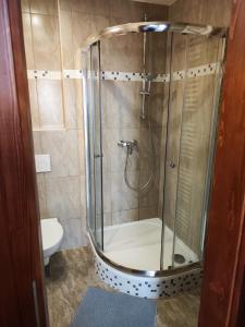 a shower stall in a bathroom with a toilet at Stella apartments in Prague