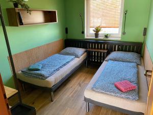 2 łóżka w pokoju z zielonymi ścianami i oknem w obiekcie Apartmán Valtice w mieście Valtice